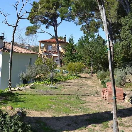 Mimosa - Tamariu, Aigua Gelida - Es-323-61 * Palafrugell